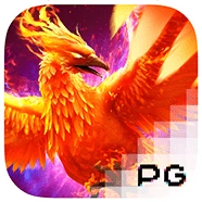 PHOENIX RISES