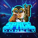 SPACE DONKEY